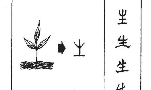 权威大麦草长什么样子图片平台,分享专业大麦草图片叶片带刺的植物知识_大麦草的作用与功效标本网
